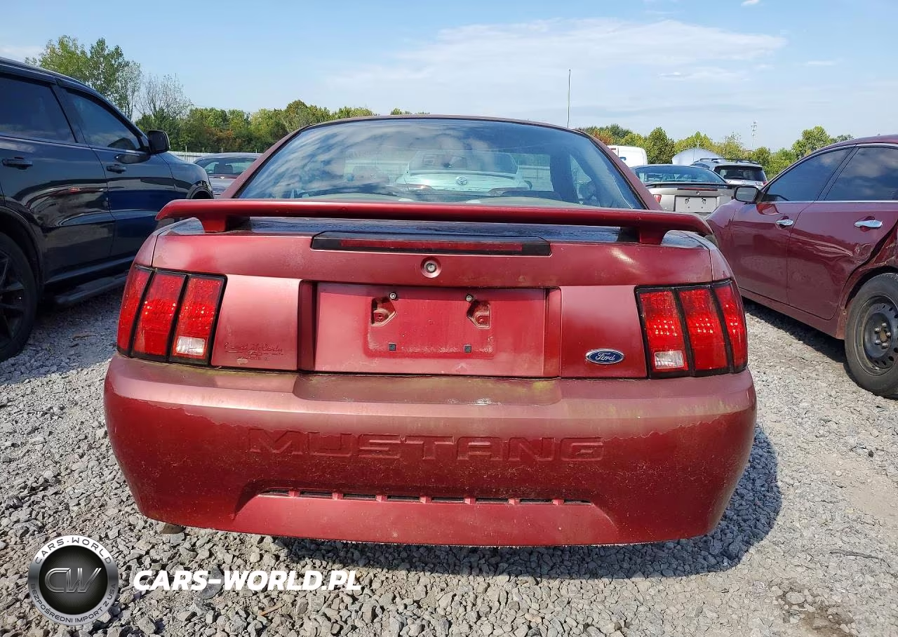 2003 Ford Mustang VIN:1FAFP40443F303922 - 6