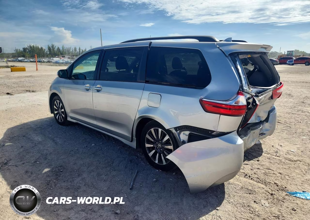 2019 Toyota Sienna Limited 7-Passenger VIN:5TDYZ3DC1KS019154 - 2
