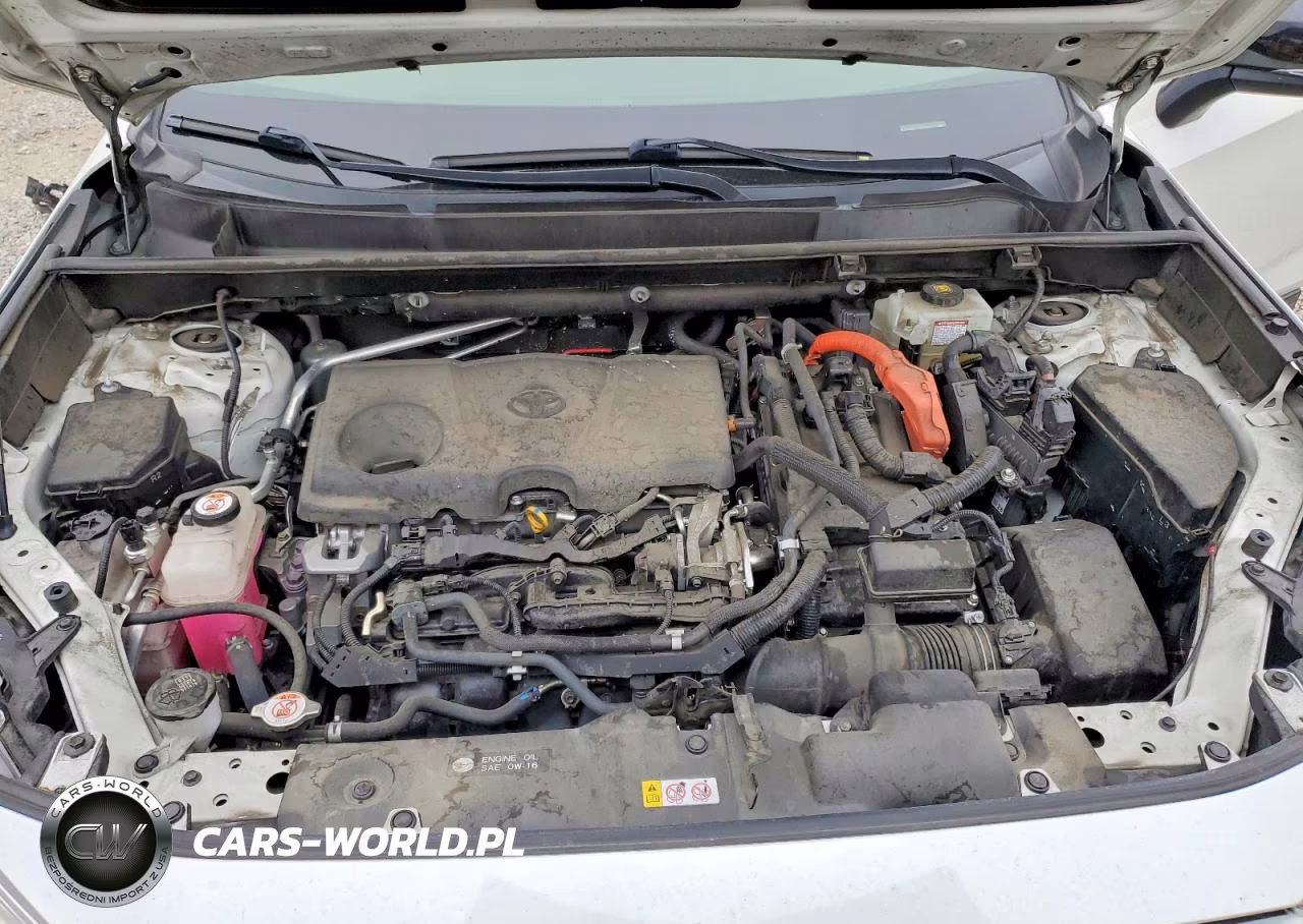 2019 Toyota Rav4 Xse VIN:JTMEWRFVXKD521430 - 12