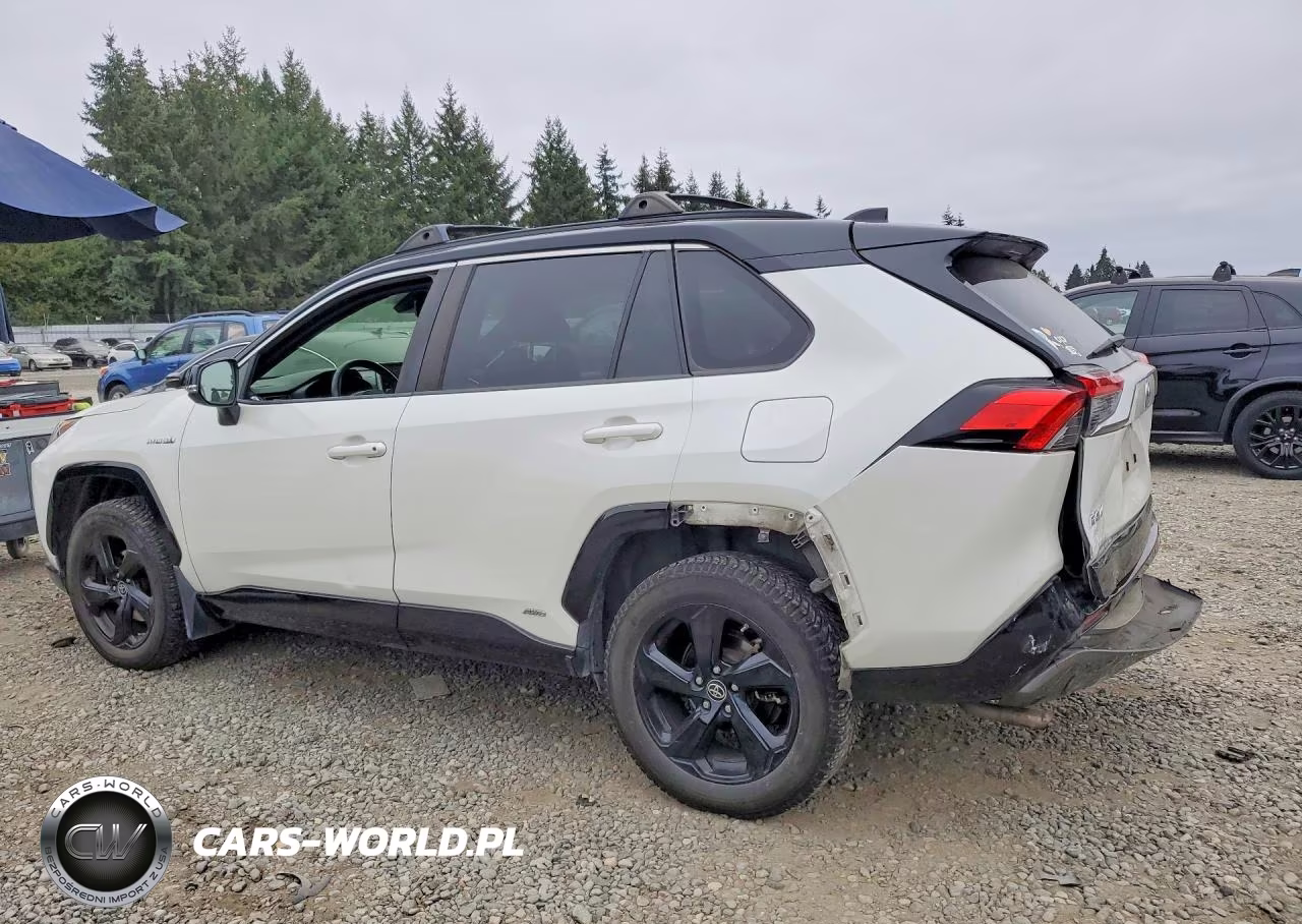 2019 Toyota Rav4 Xse VIN:JTMEWRFVXKD521430 - 2