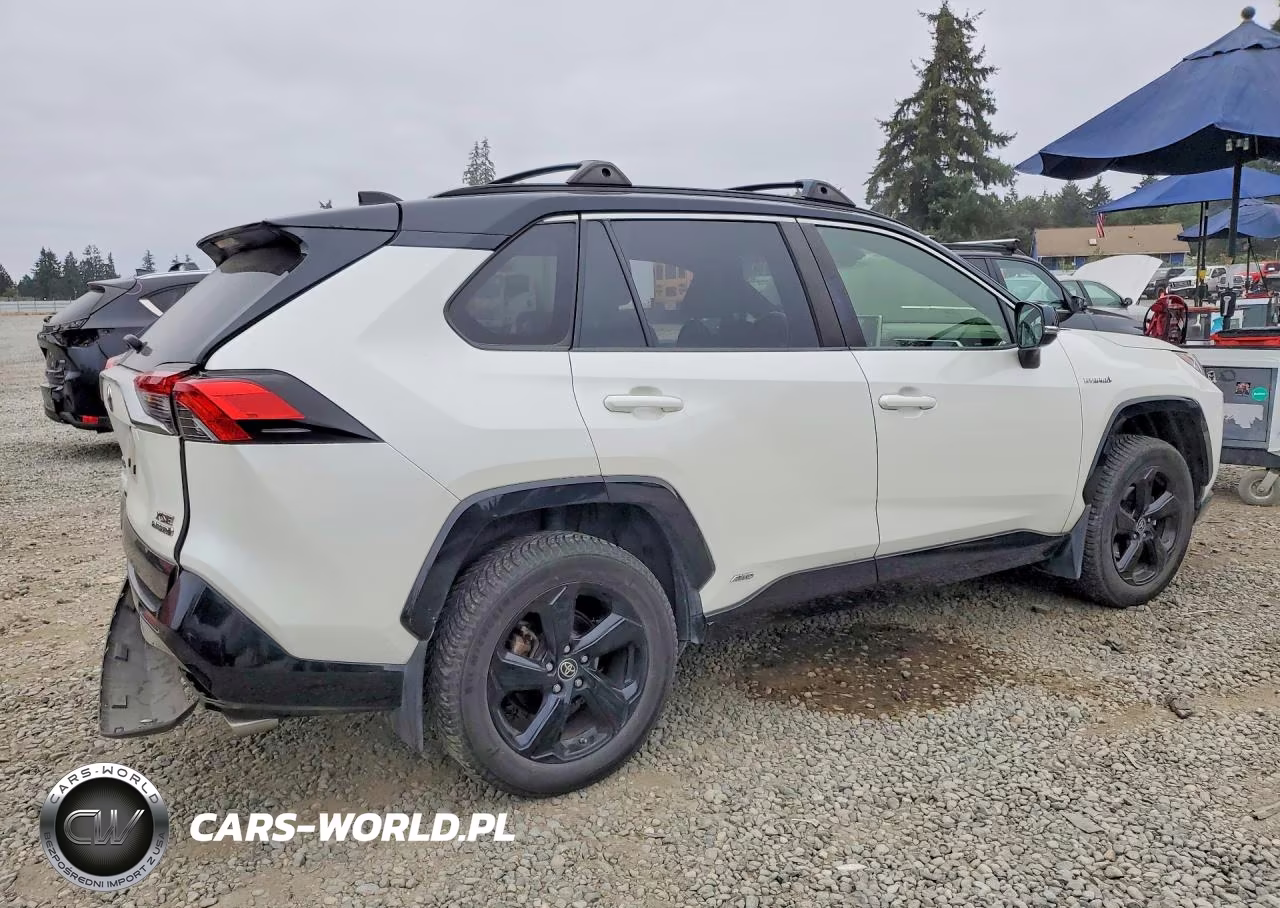 2019 Toyota Rav4 Xse VIN:JTMEWRFVXKD521430 - 3