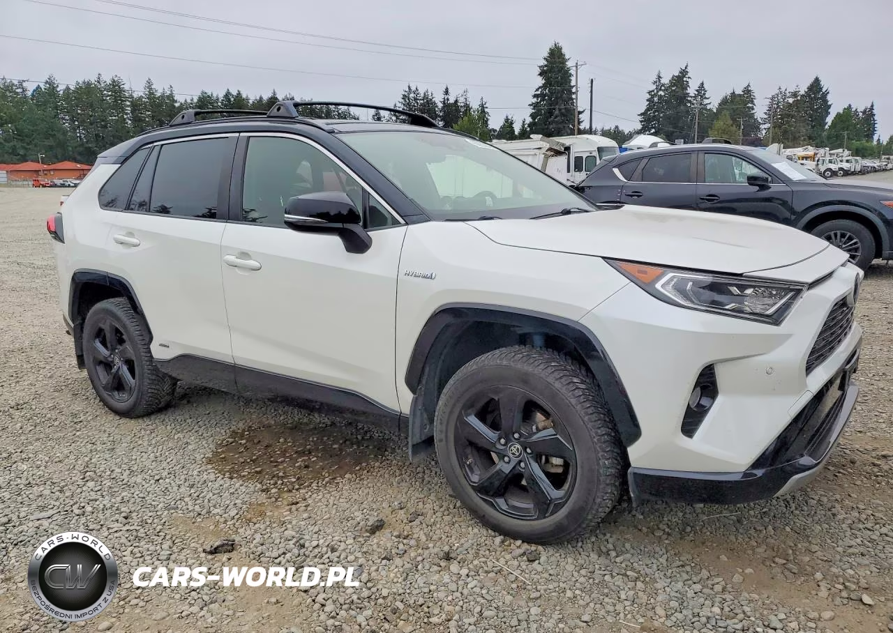 2019 Toyota Rav4 Xse VIN:JTMEWRFVXKD521430 - 4
