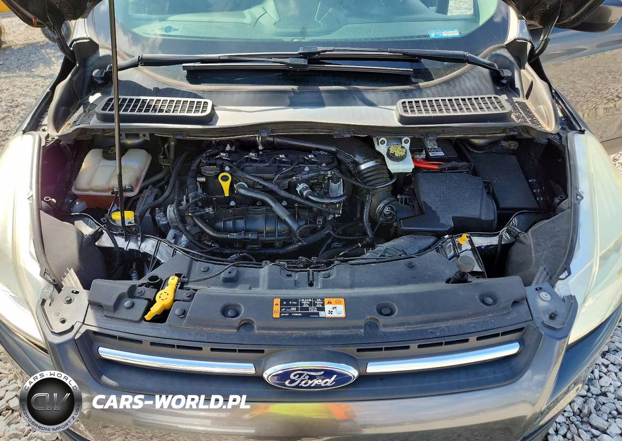 2016 Ford Escape Se VIN:1FMCU0GXXGUB40270 - 12