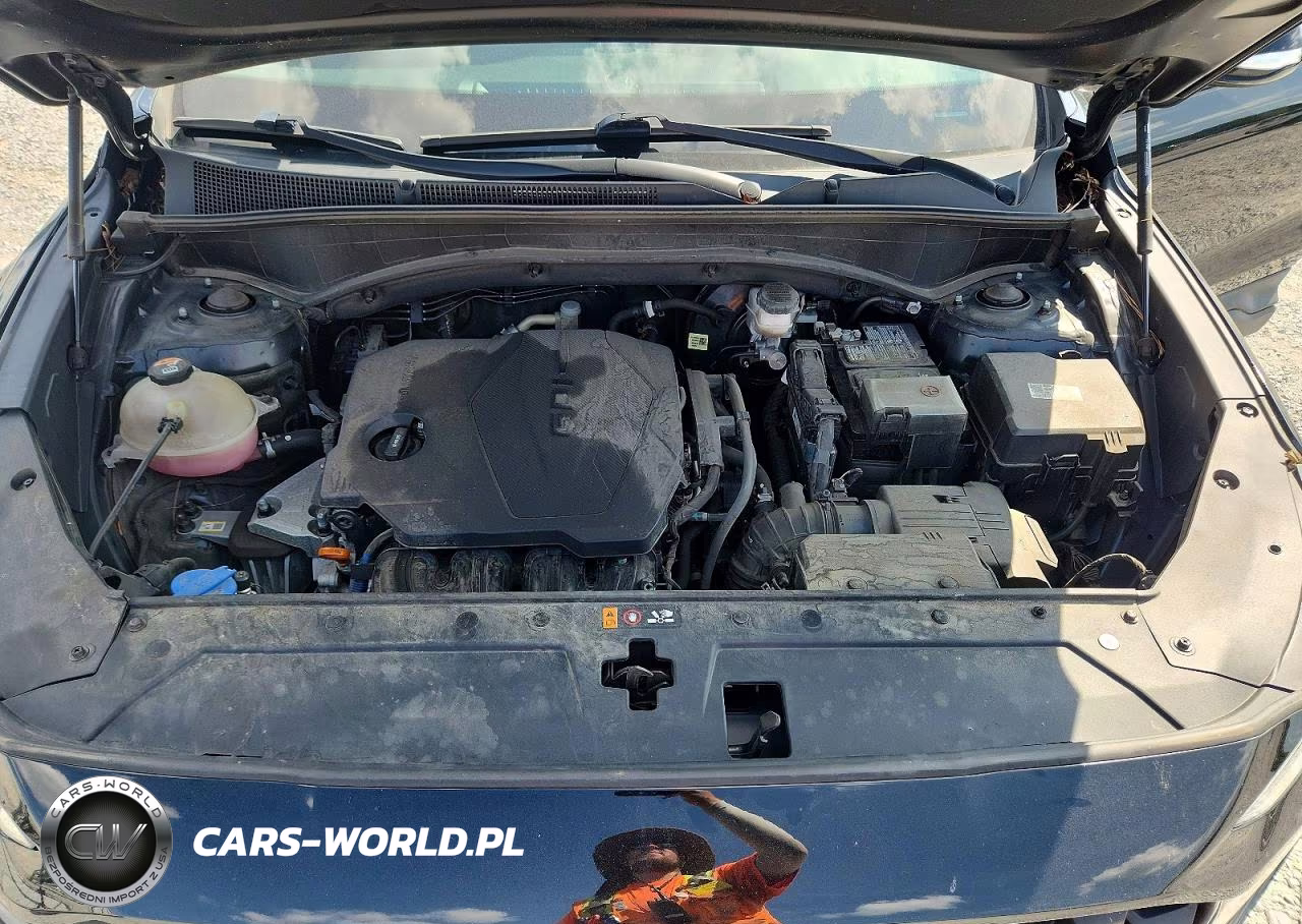 2022 Hyundai Santa Fe Xrt VIN:5NMS64AJXNH439929 - 12