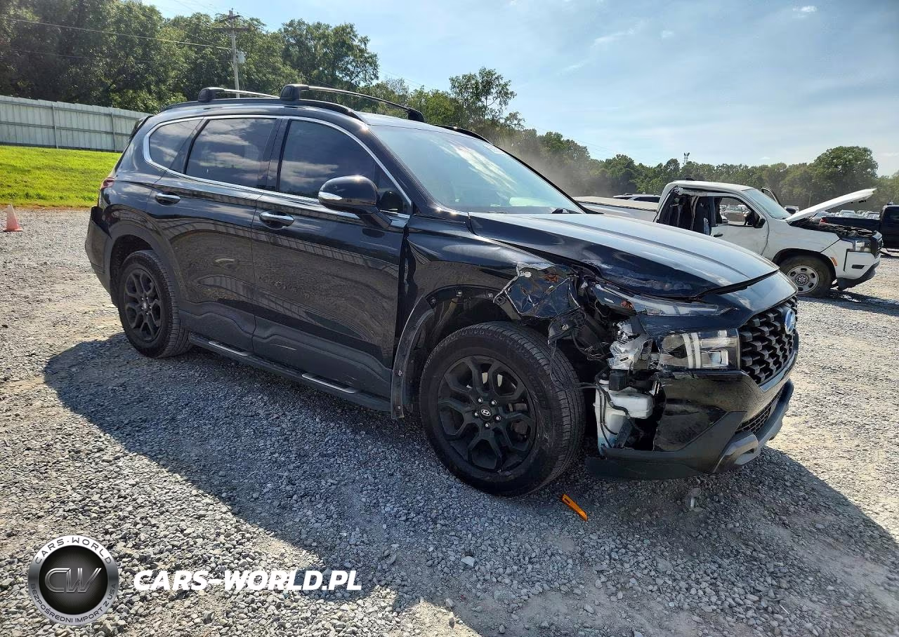 2022 Hyundai Santa Fe Xrt VIN:5NMS64AJXNH439929 - 4