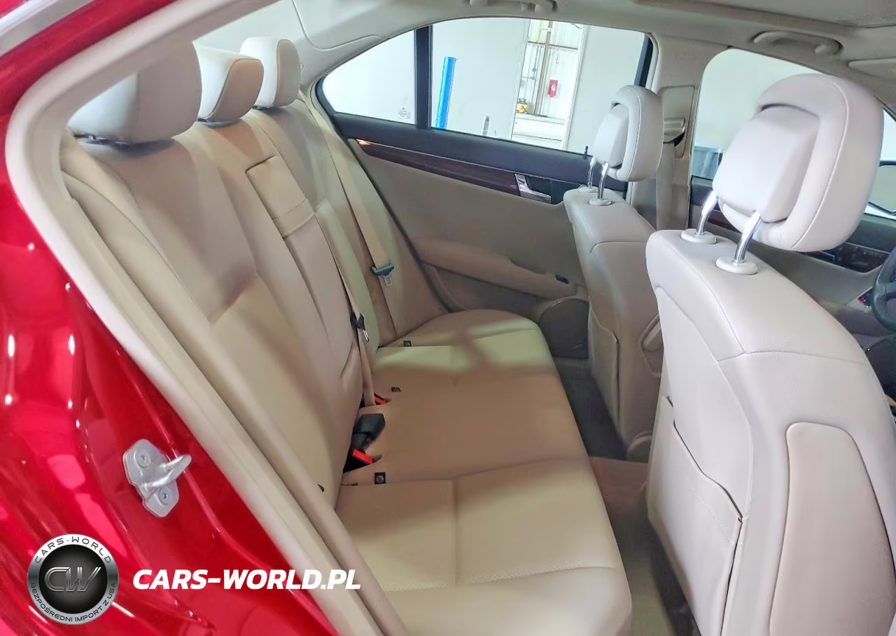 2009 Mercedes-Benz 300-Class VIN:WDDGF81X19R083525 - 10