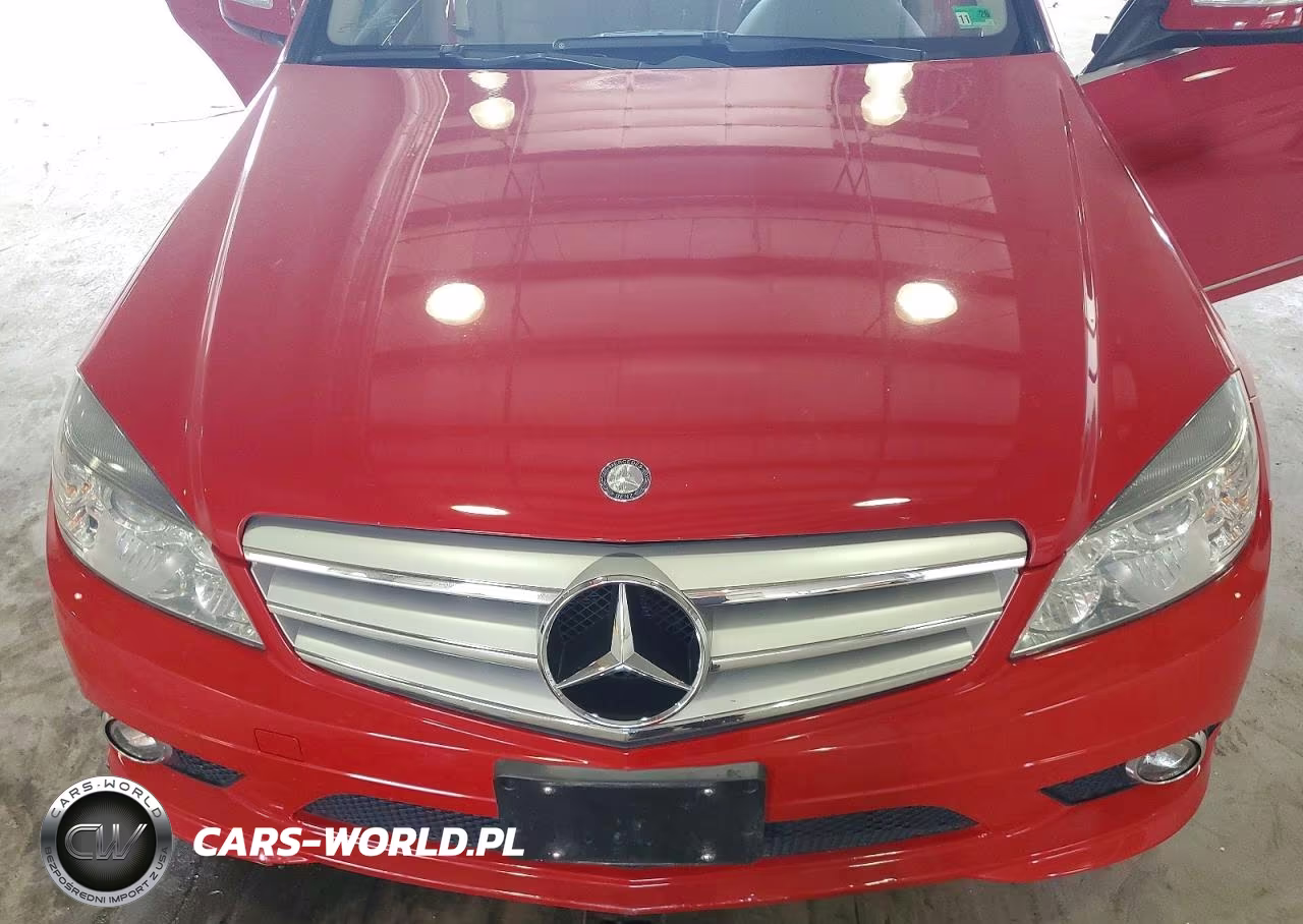 2009 Mercedes-Benz 300-Class VIN:WDDGF81X19R083525 - 11