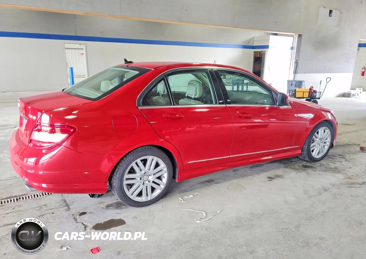 2009 Mercedes-Benz 300-Class VIN:WDDGF81X19R083525 - 3