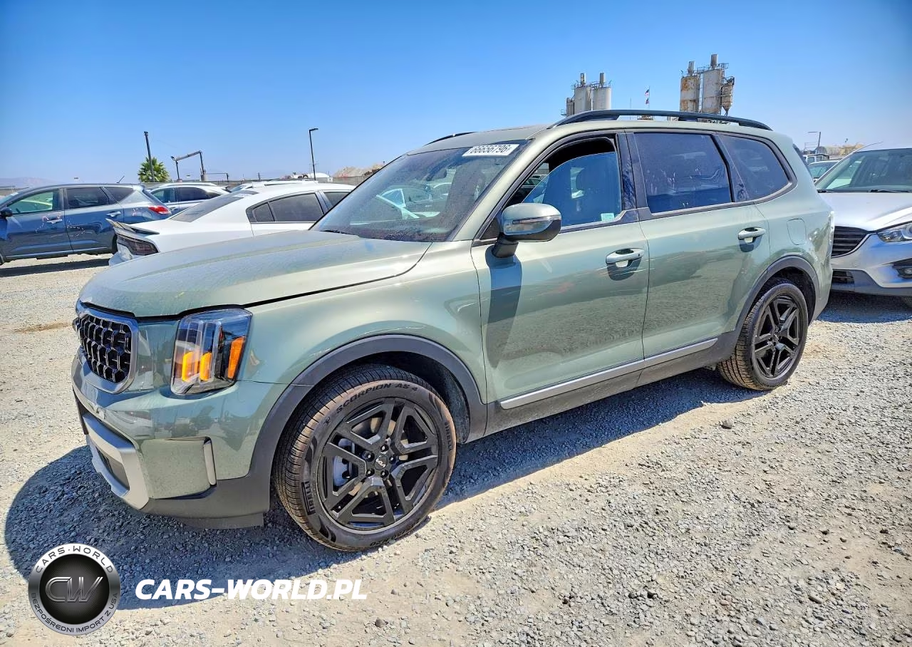 2023 Kia Telluride Ex X-Line VIN:5XYP3DGC2PG344883 - 1