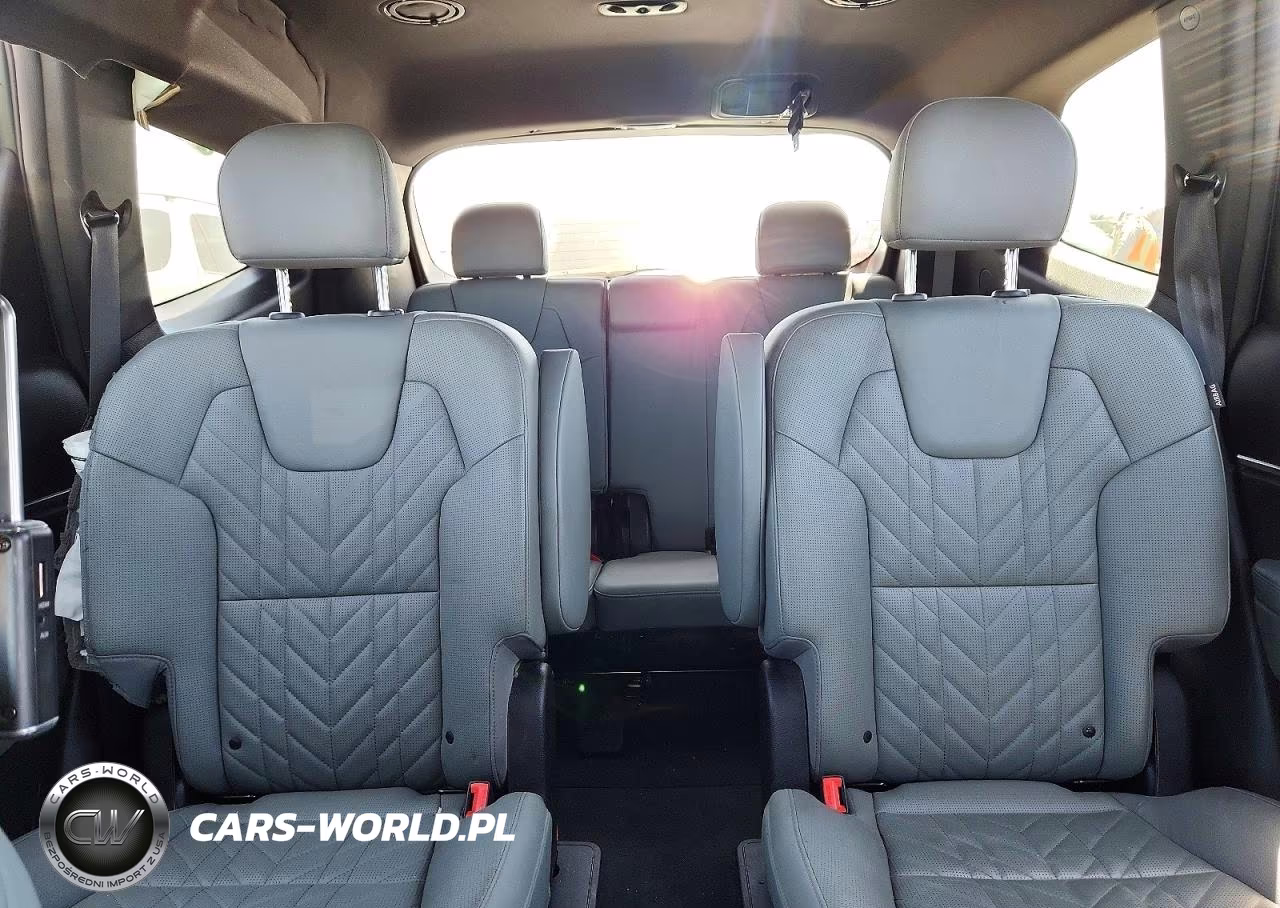 2023 Kia Telluride Ex X-Line VIN:5XYP3DGC2PG344883 - 10