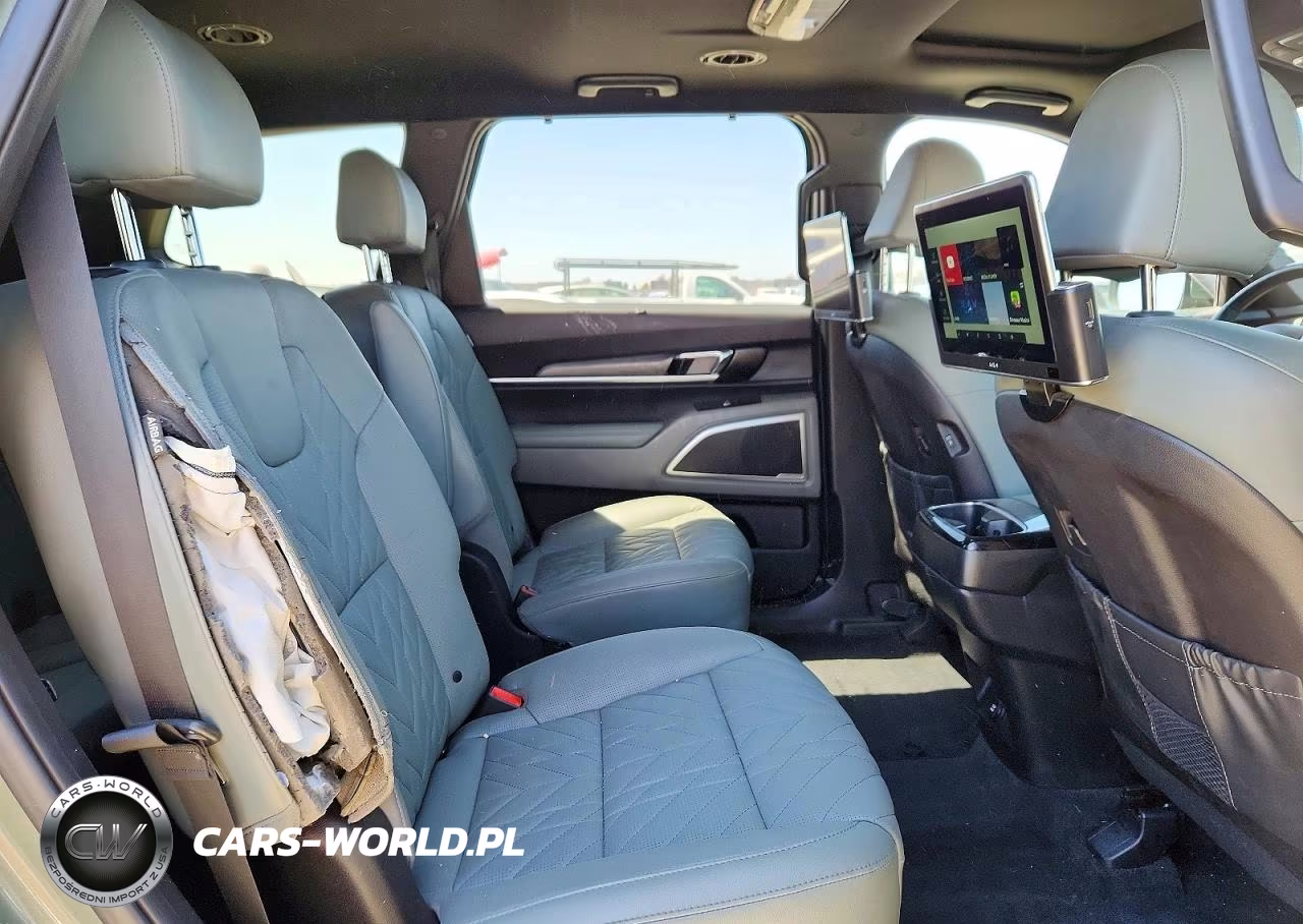 2023 Kia Telluride Ex X-Line VIN:5XYP3DGC2PG344883 - 11