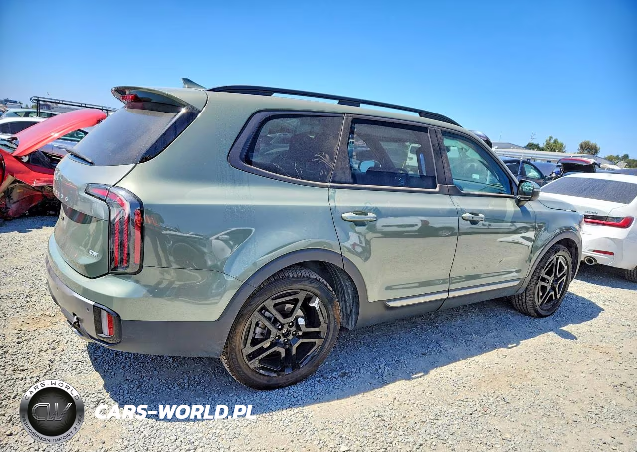 2023 Kia Telluride Ex X-Line VIN:5XYP3DGC2PG344883 - 3