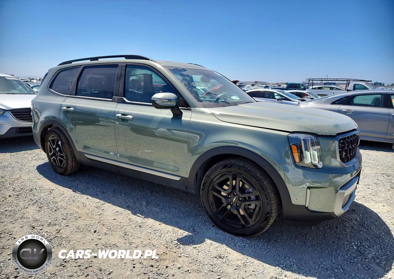 2023 Kia Telluride Ex X-Line VIN:5XYP3DGC2PG344883 - 4