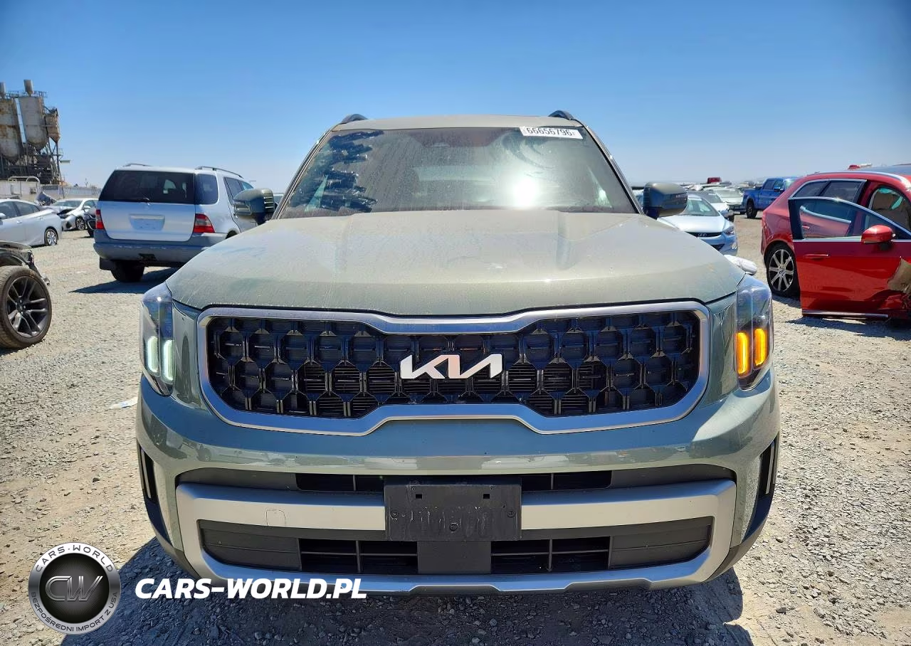 2023 Kia Telluride Ex X-Line VIN:5XYP3DGC2PG344883 - 5