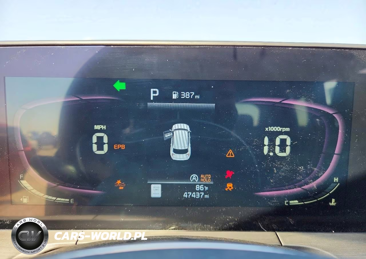 2023 Kia Telluride Ex X-Line VIN:5XYP3DGC2PG344883 - 9