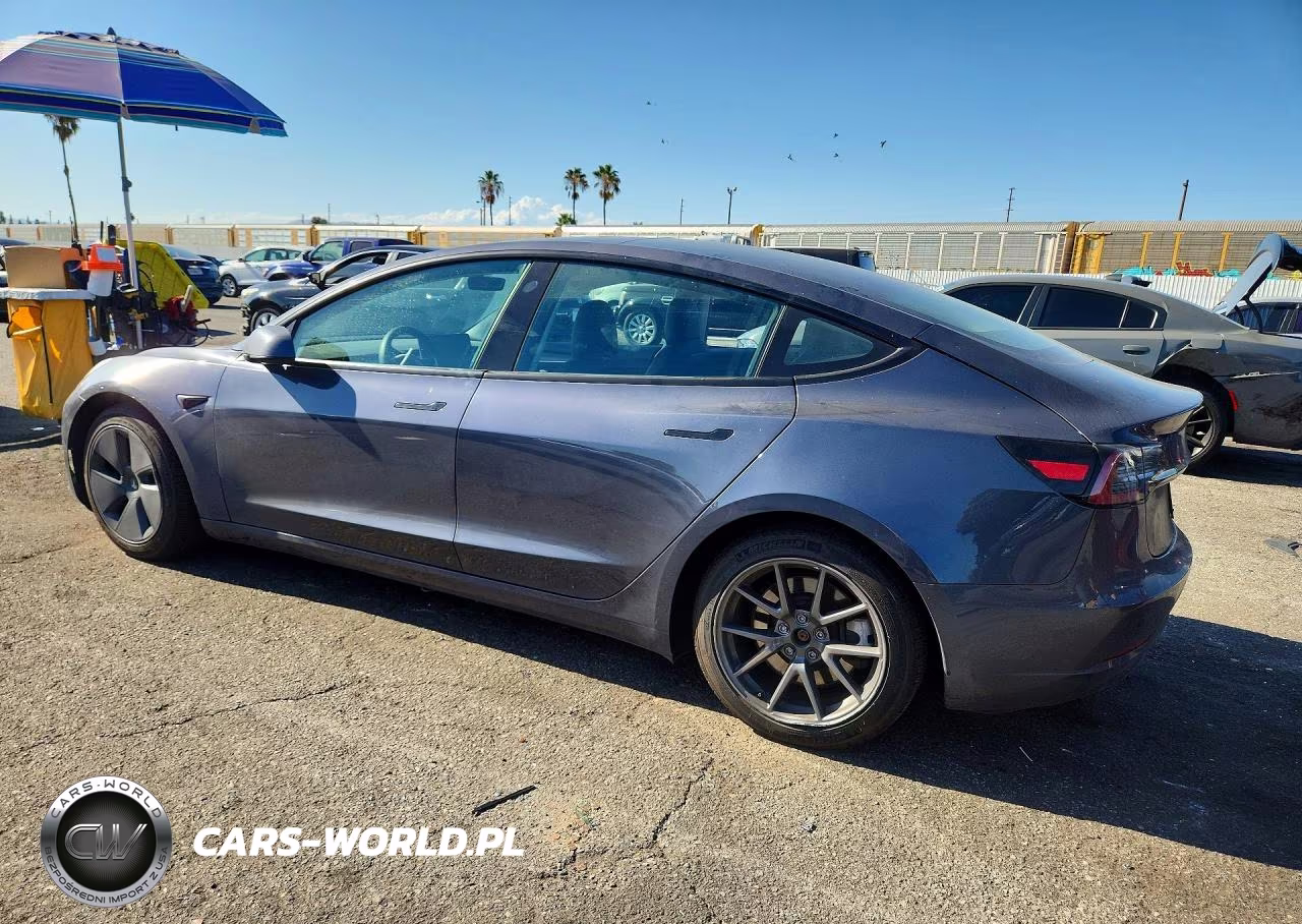 2023 Tesla Model 3 VIN:5YJ3E1EA8PF403791 - 2