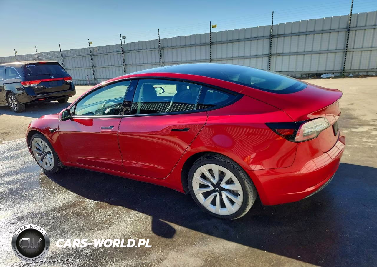 2022 Tesla Model 3 VIN:5YJ3E1EAXNF304628 - 2