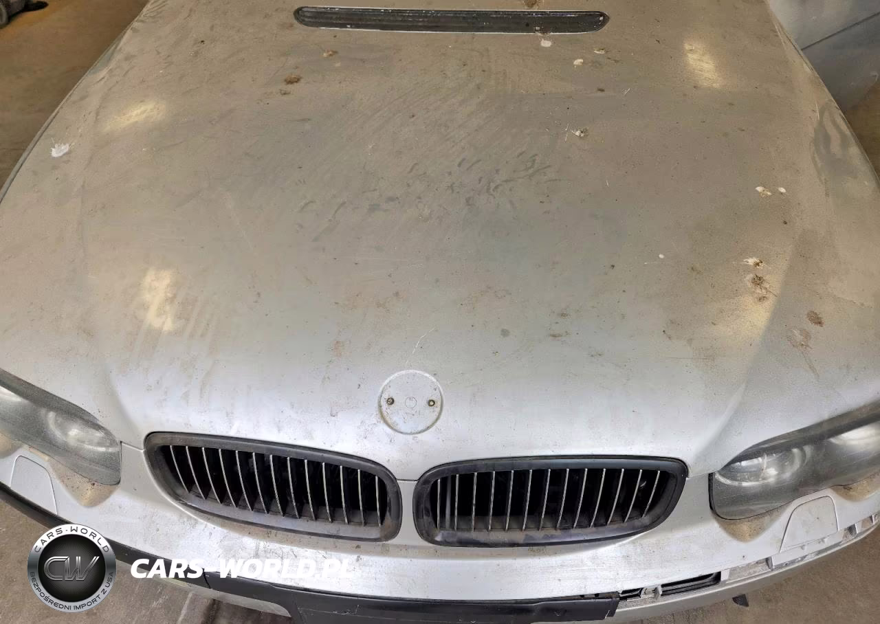 2002 BMW 745 Li VIN:WBAGL63482DP51251 - 11