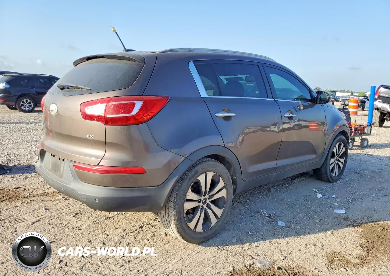 2013 Kia Sportage Ex VIN:KNDPC3A27D7402585 - 3