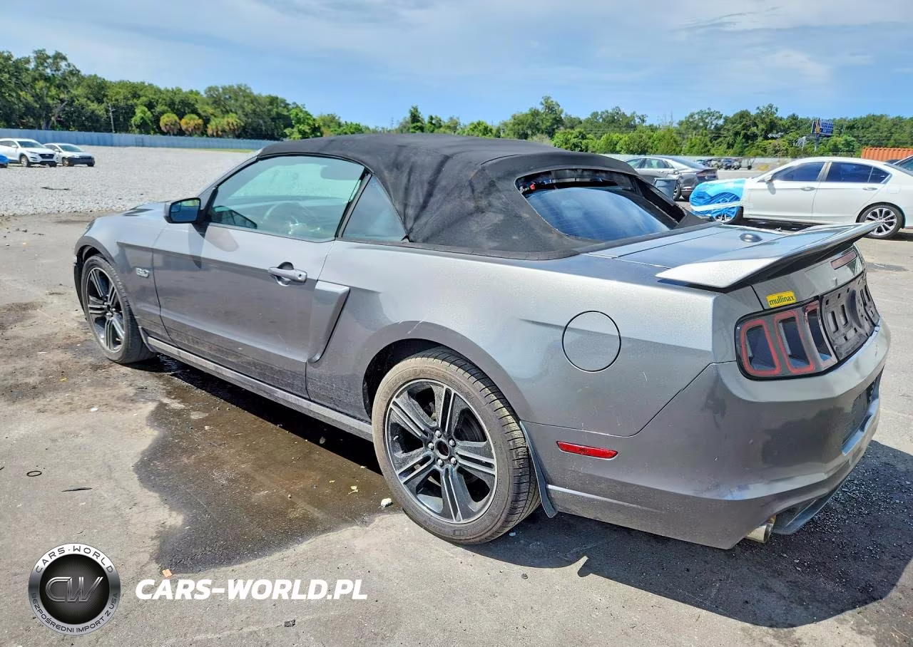2013 Ford Mustang Gt VIN:1ZVBP8FF6D5238133 - 2