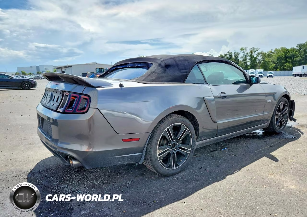 2013 Ford Mustang Gt VIN:1ZVBP8FF6D5238133 - 3
