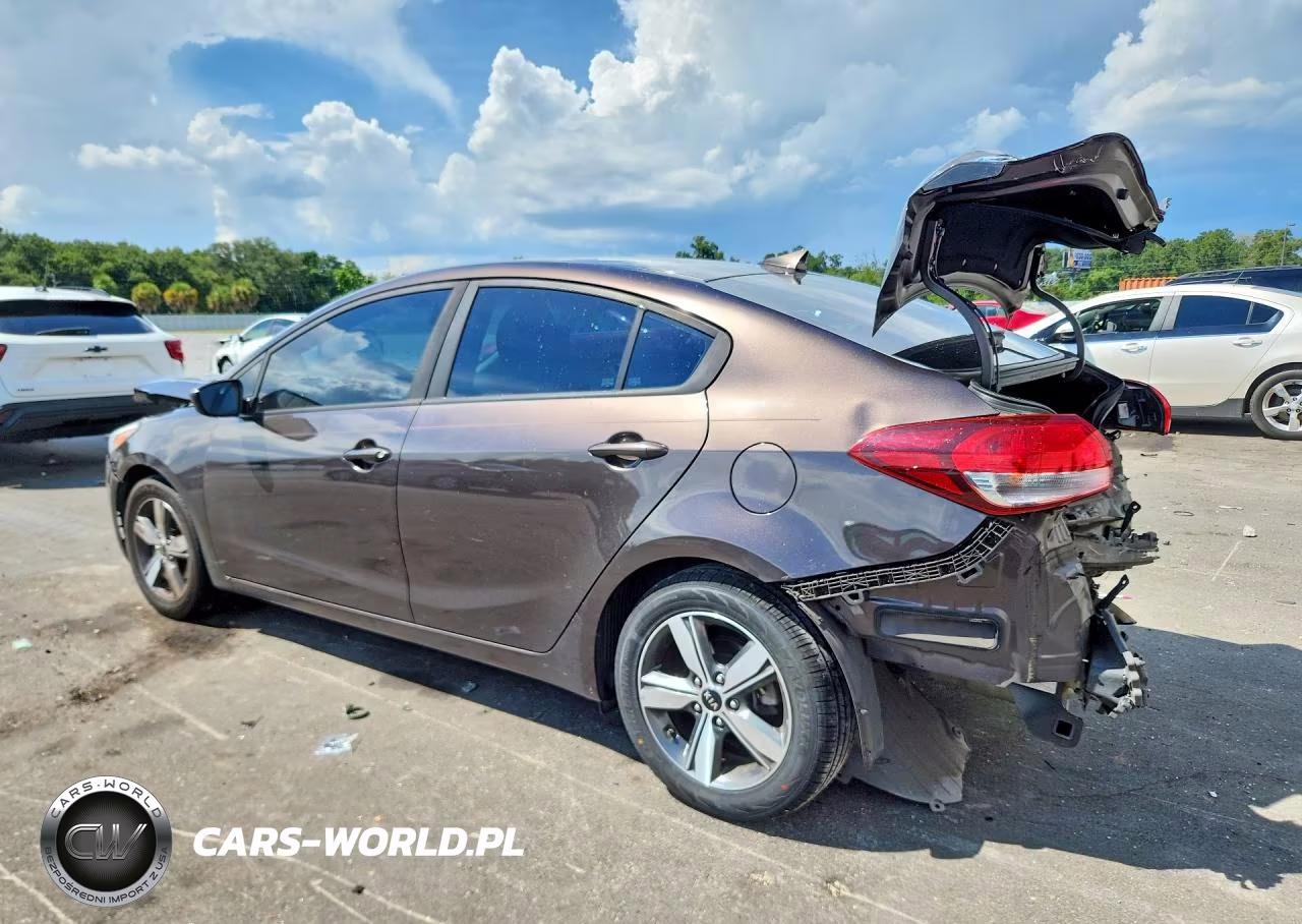 2018 Kia Forte Lx VIN:3KPFL4A7XJE194422 - 2