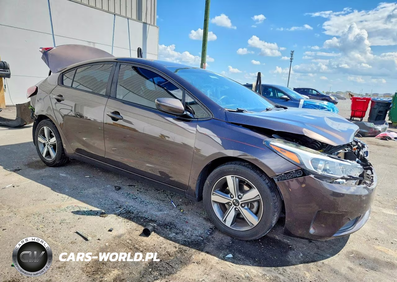 2018 Kia Forte Lx VIN:3KPFL4A7XJE194422 - 4