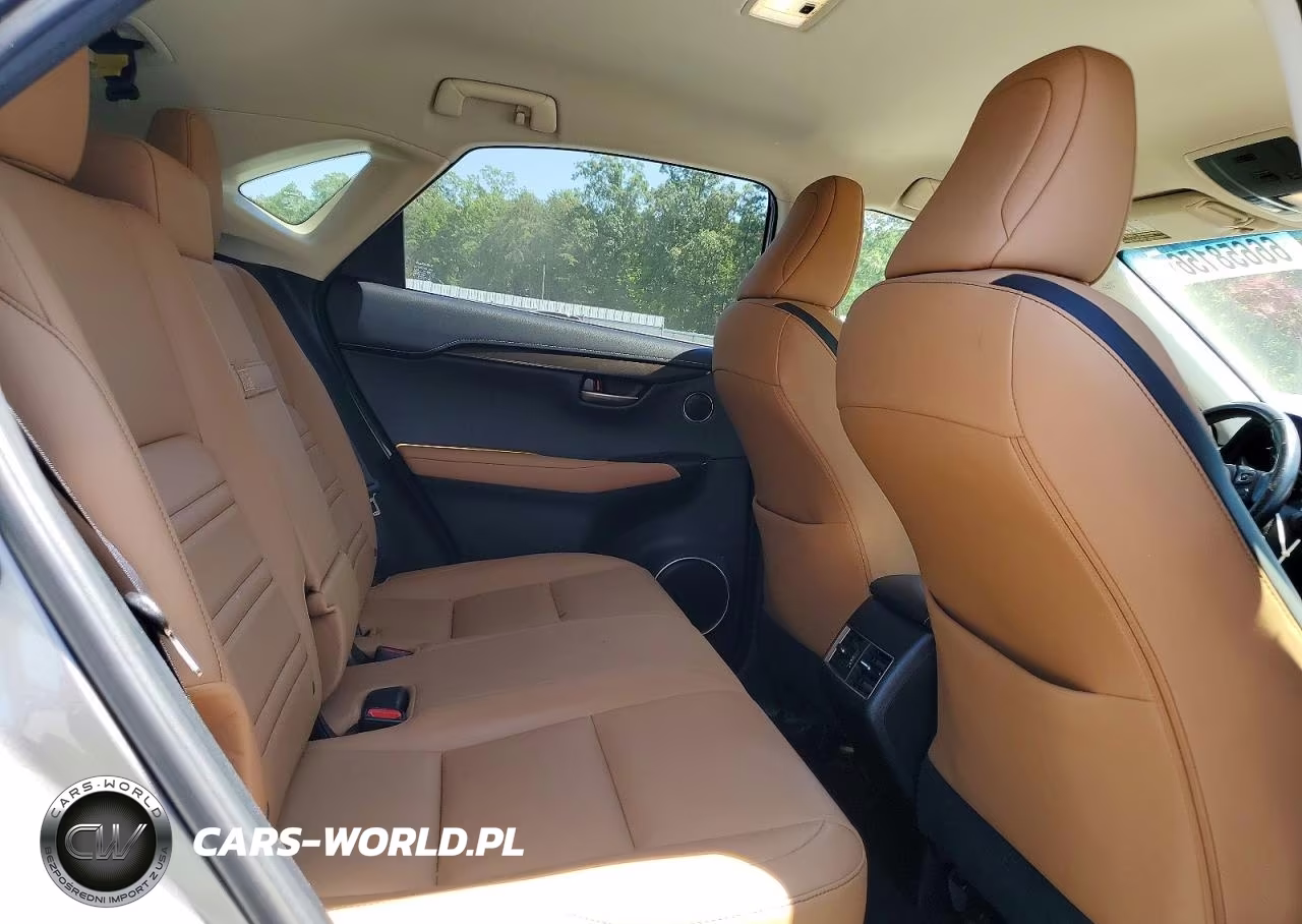 2015 Lexus Nx 200T VIN:JTJYARBZ0F2021411 - 11