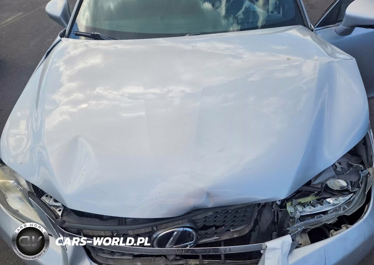 2013 Lexus Ct 200 VIN:JTHKD5BH0D2132813 - 11
