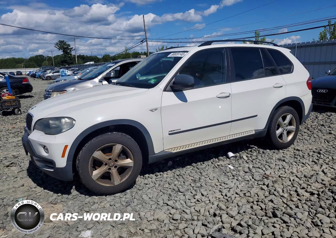 2010 BMW X5 xDrive30I