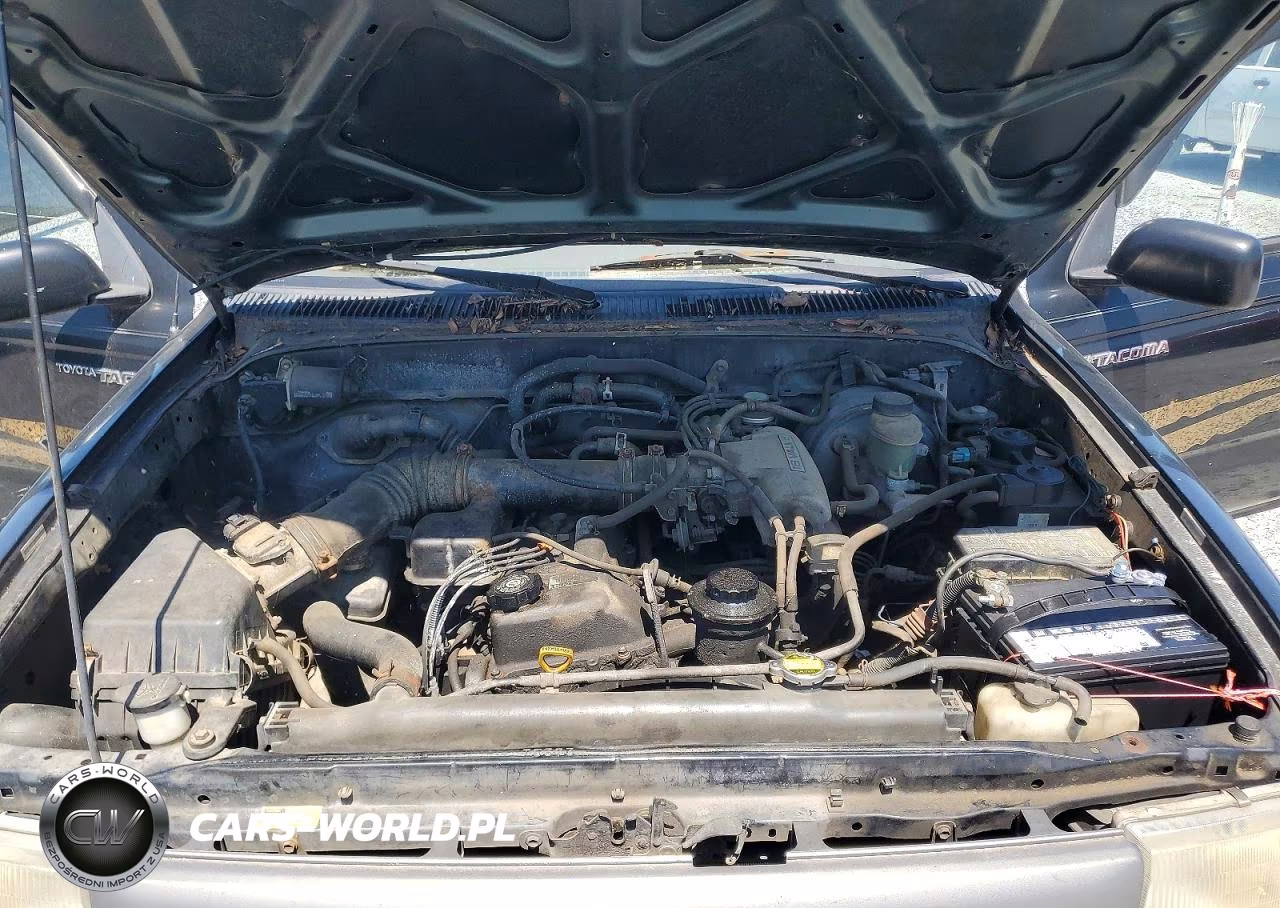 1998 Toyota Tacoma Base VIN:4TAPM62N8WZ030118 - 11