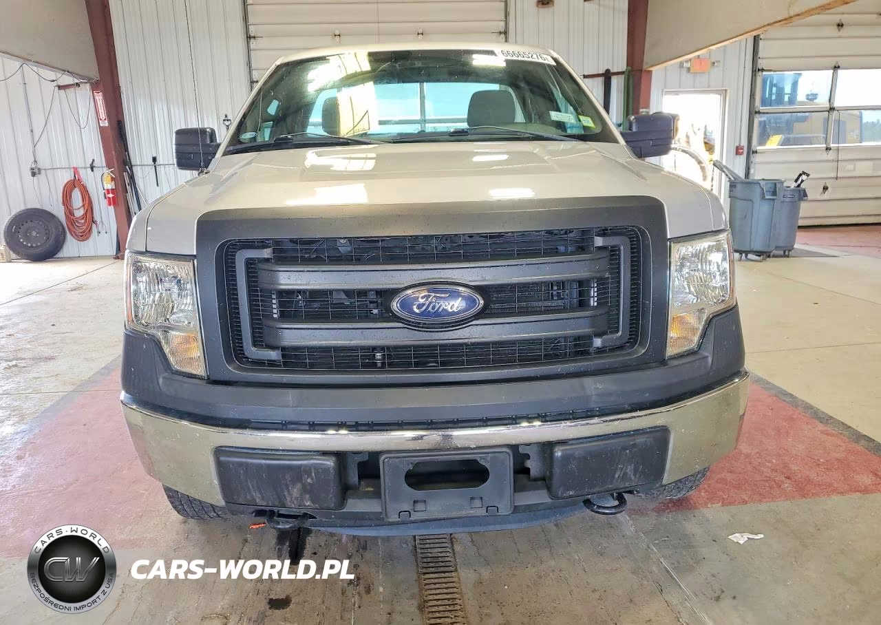 2014 Ford F150 VIN:1FTNF1EF7EKE36668 - 5