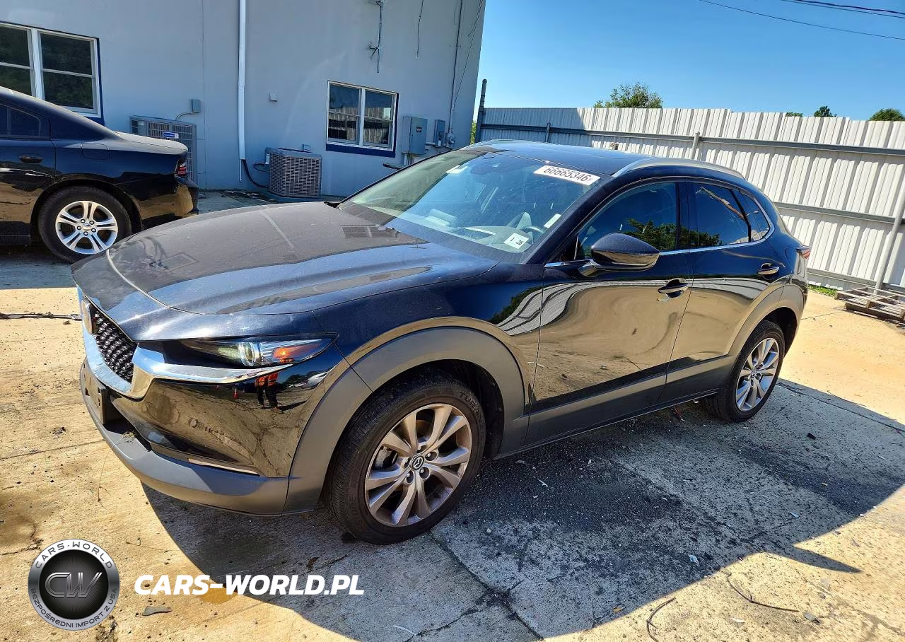 2023 Mazda Cx-30 Premium VIN:3MVDMBDM6PM529506 - 1