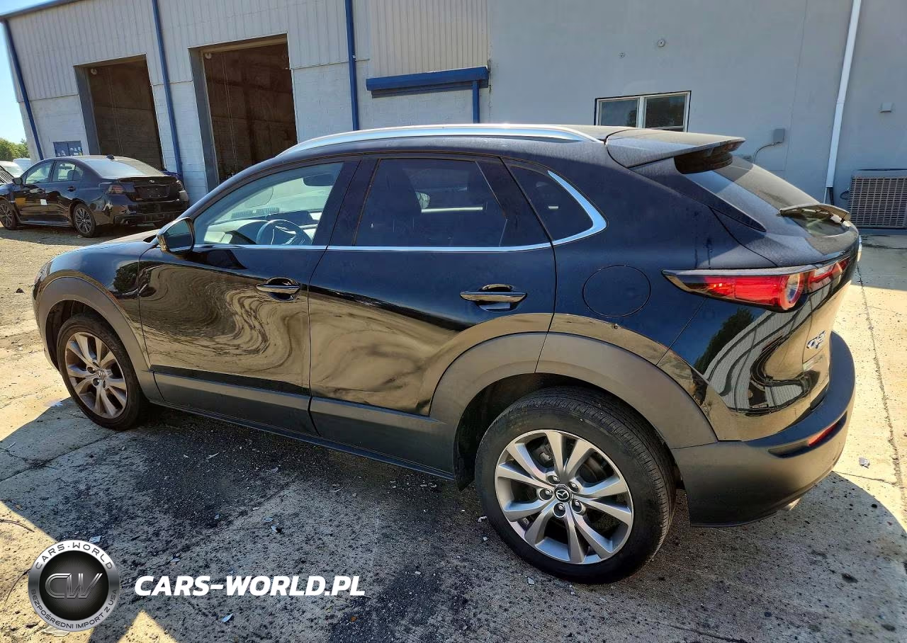 2023 Mazda Cx-30 Premium VIN:3MVDMBDM6PM529506 - 2