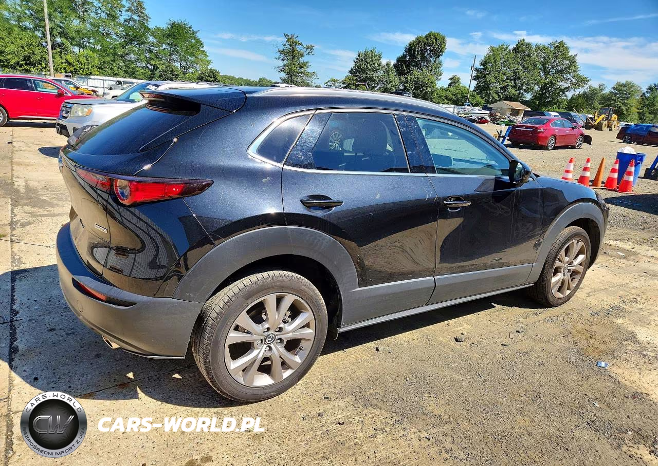 2023 Mazda Cx-30 Premium VIN:3MVDMBDM6PM529506 - 3