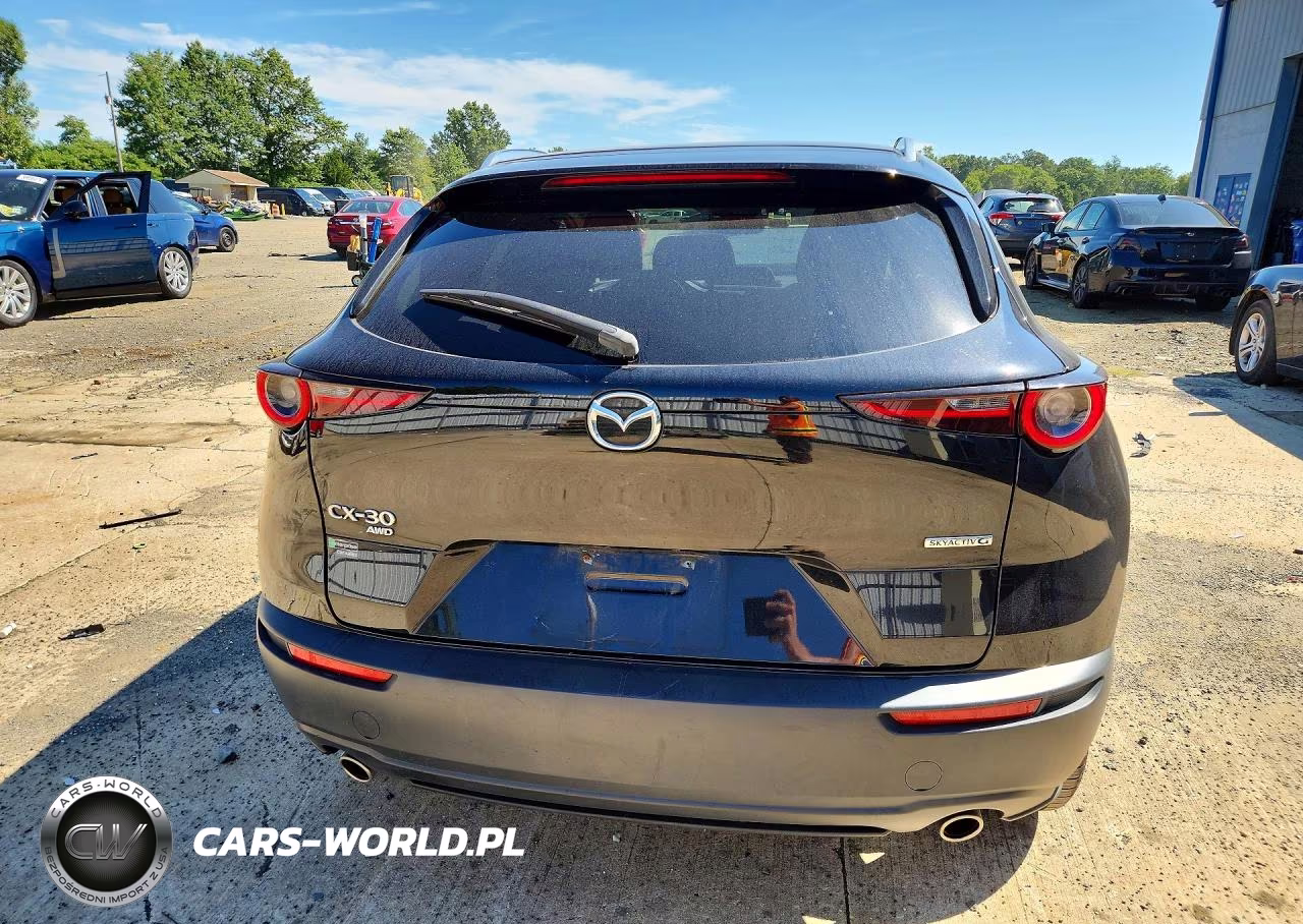 2023 Mazda Cx-30 Premium VIN:3MVDMBDM6PM529506 - 6