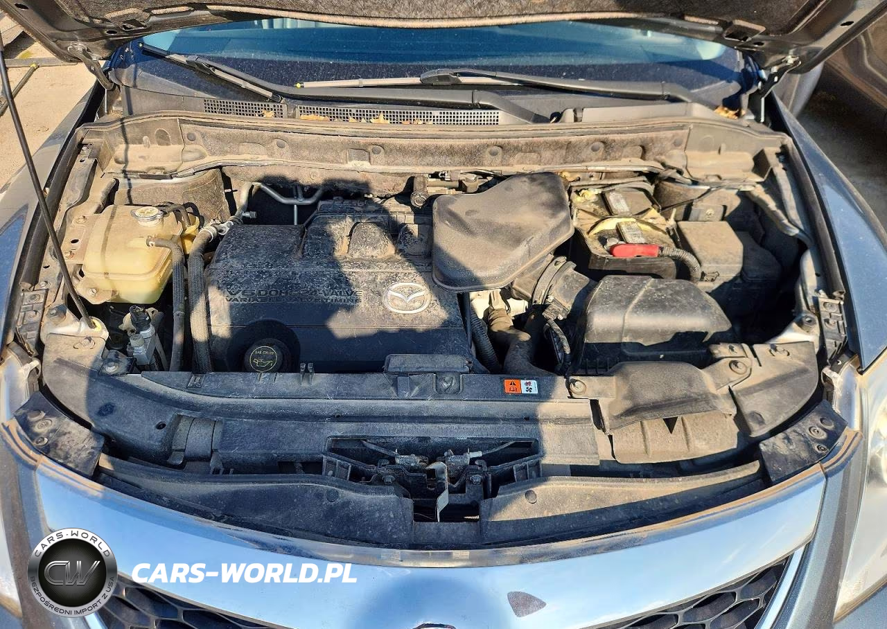 2012 Mazda Cx-9 VIN:JM3TB3DA0C0337467 - 12
