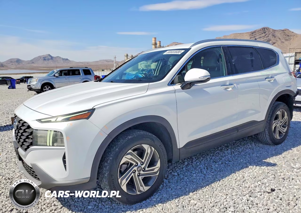 2023 Hyundai Santa Fe Sel VIN:5NMS2DAJ8PH491705 - 1