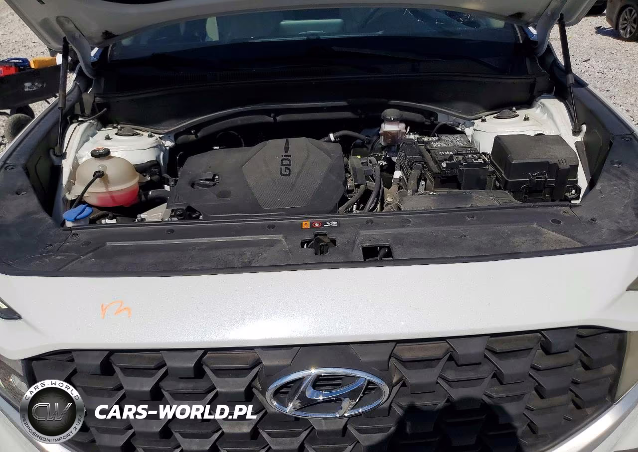 2023 Hyundai Santa Fe Sel VIN:5NMS2DAJ8PH491705 - 12