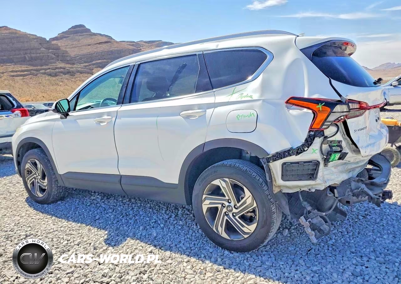 2023 Hyundai Santa Fe Sel VIN:5NMS2DAJ8PH491705 - 2