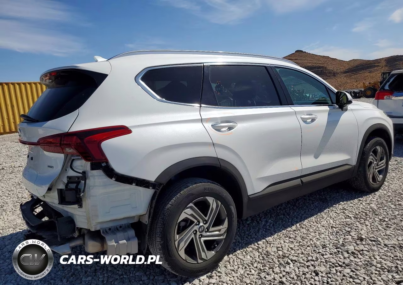 2023 Hyundai Santa Fe Sel VIN:5NMS2DAJ8PH491705 - 3