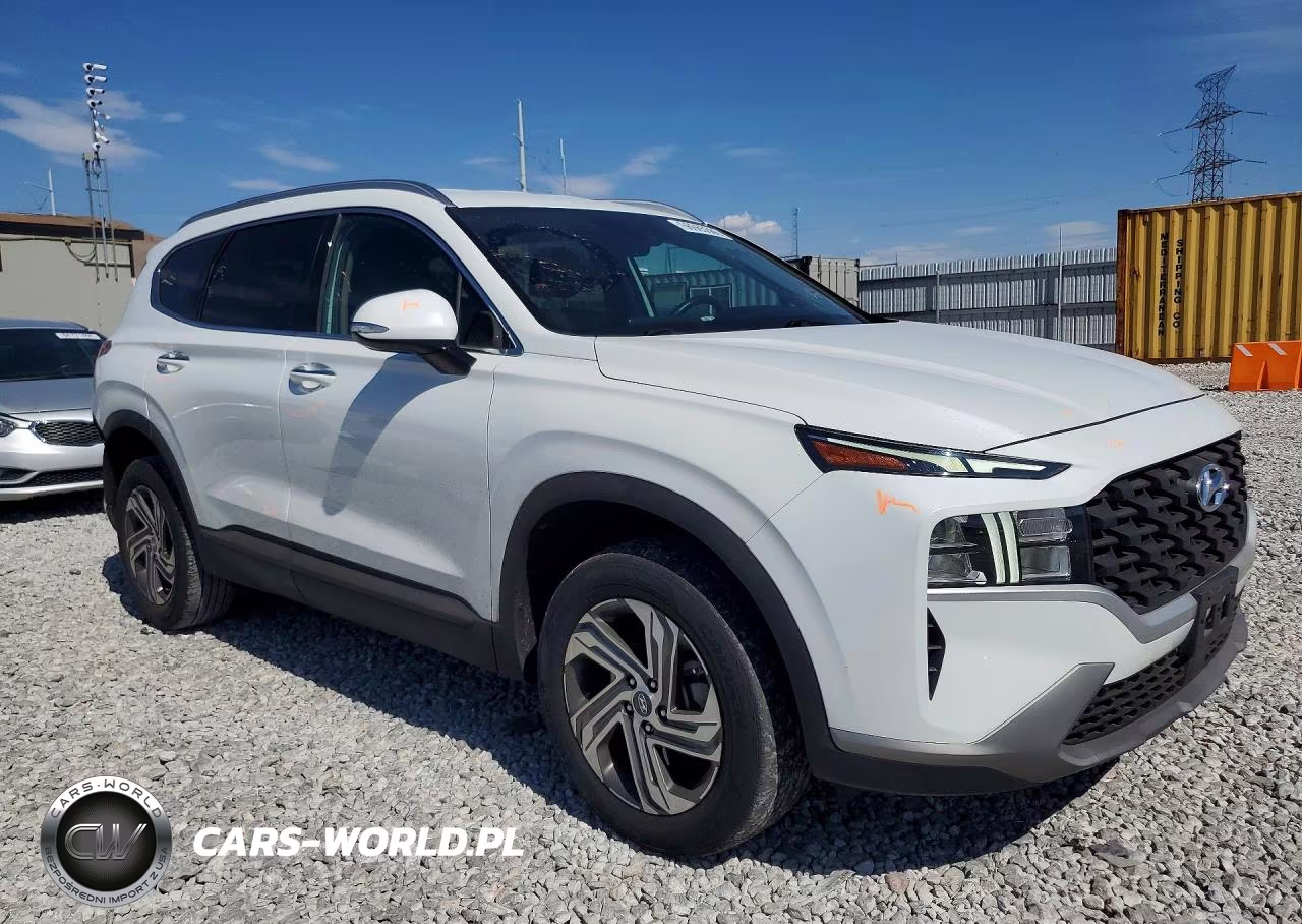 2023 Hyundai Santa Fe Sel VIN:5NMS2DAJ8PH491705 - 4