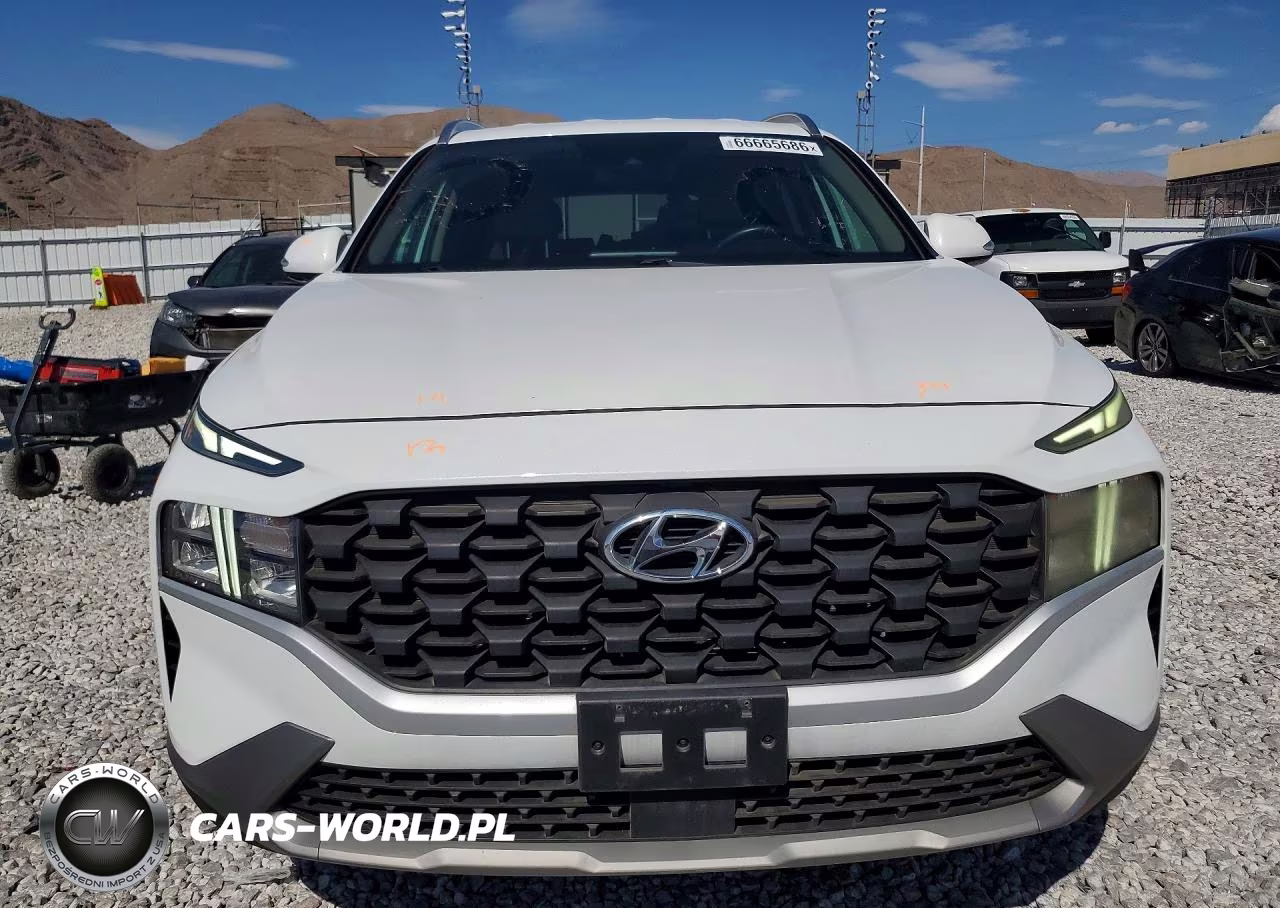 2023 Hyundai Santa Fe Sel VIN:5NMS2DAJ8PH491705 - 5