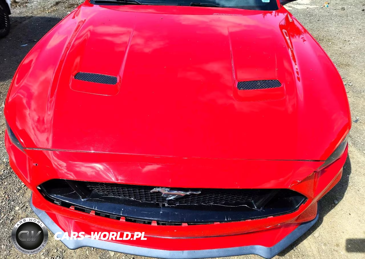2021 Ford Mustang VIN:1FATP8UH4M5102519 - 11