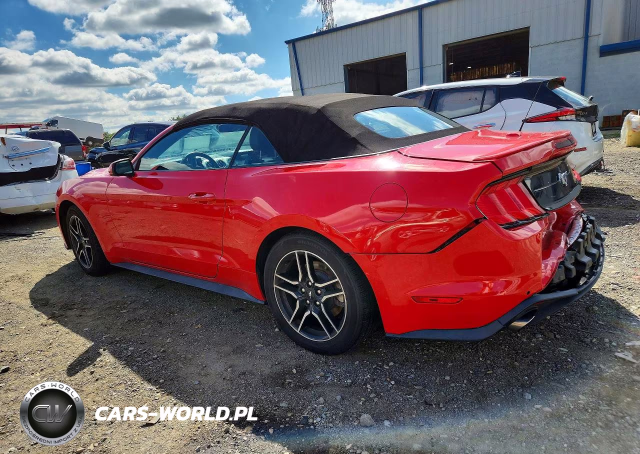 2021 Ford Mustang VIN:1FATP8UH4M5102519 - 2