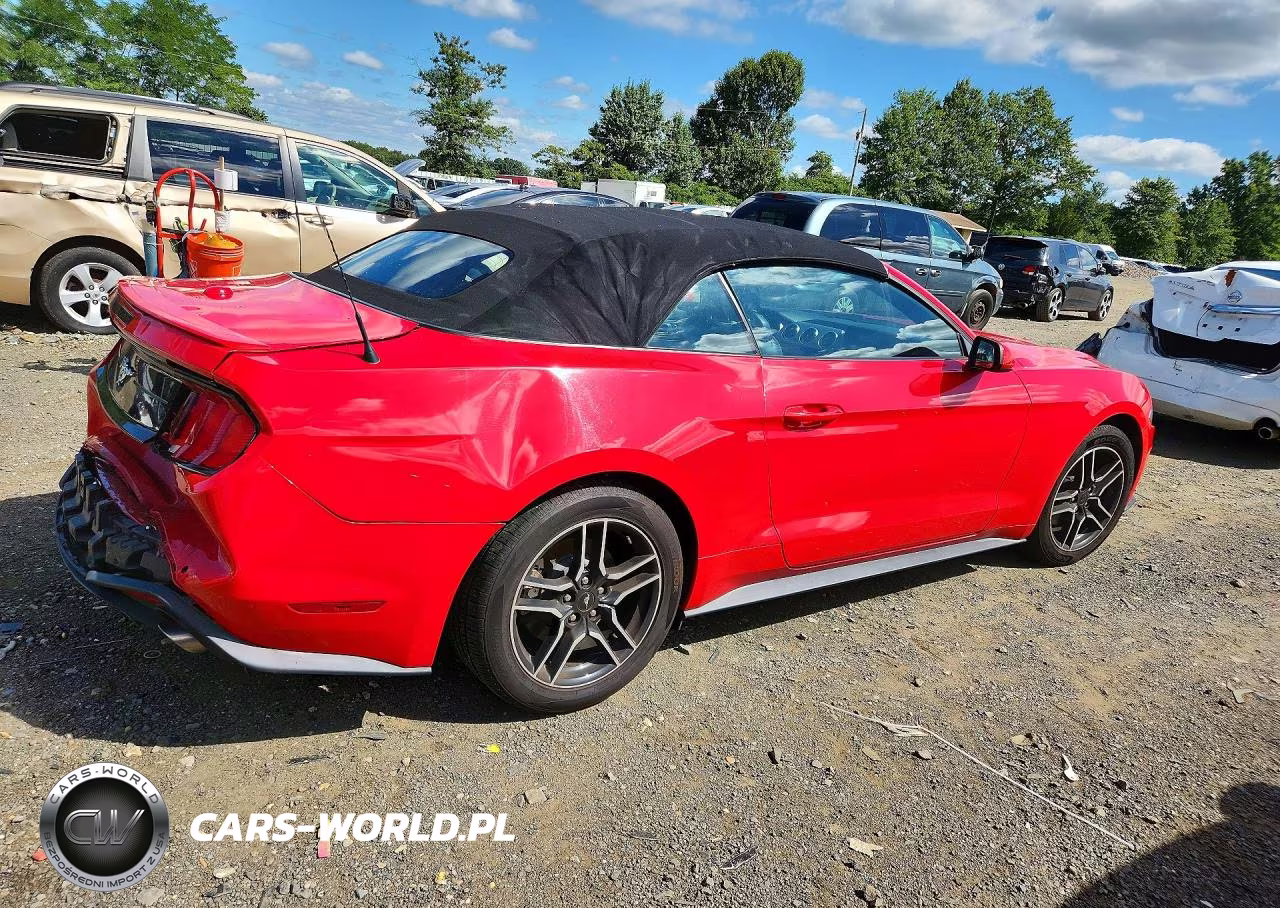 2021 Ford Mustang VIN:1FATP8UH4M5102519 - 3