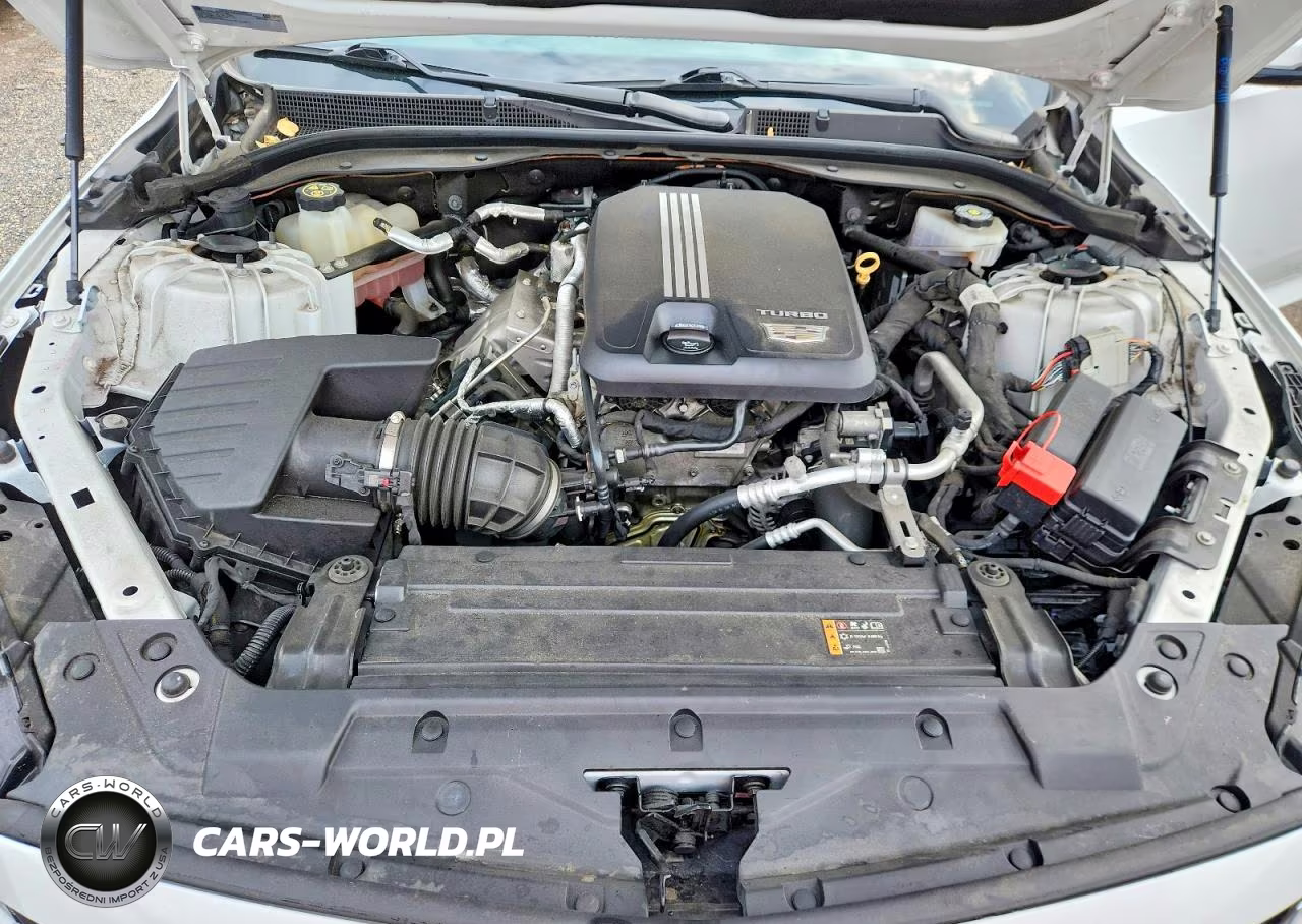 2021 Cadillac Ct5 Luxury VIN:1G6DW5RKXM0144181 - 11
