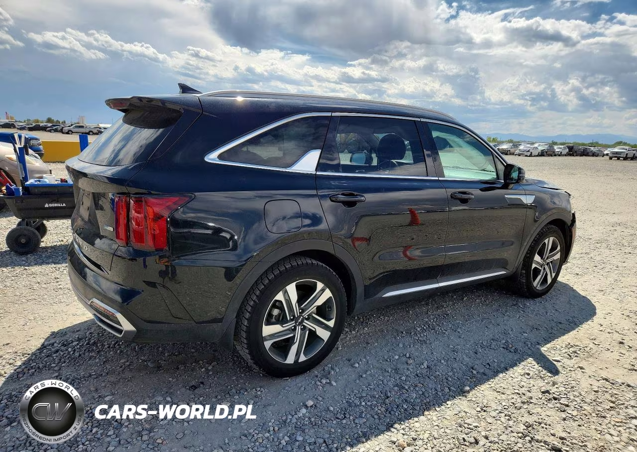 2022 Kia Sorento Sx VIN:KNDRJDLH8N5083670 - 3
