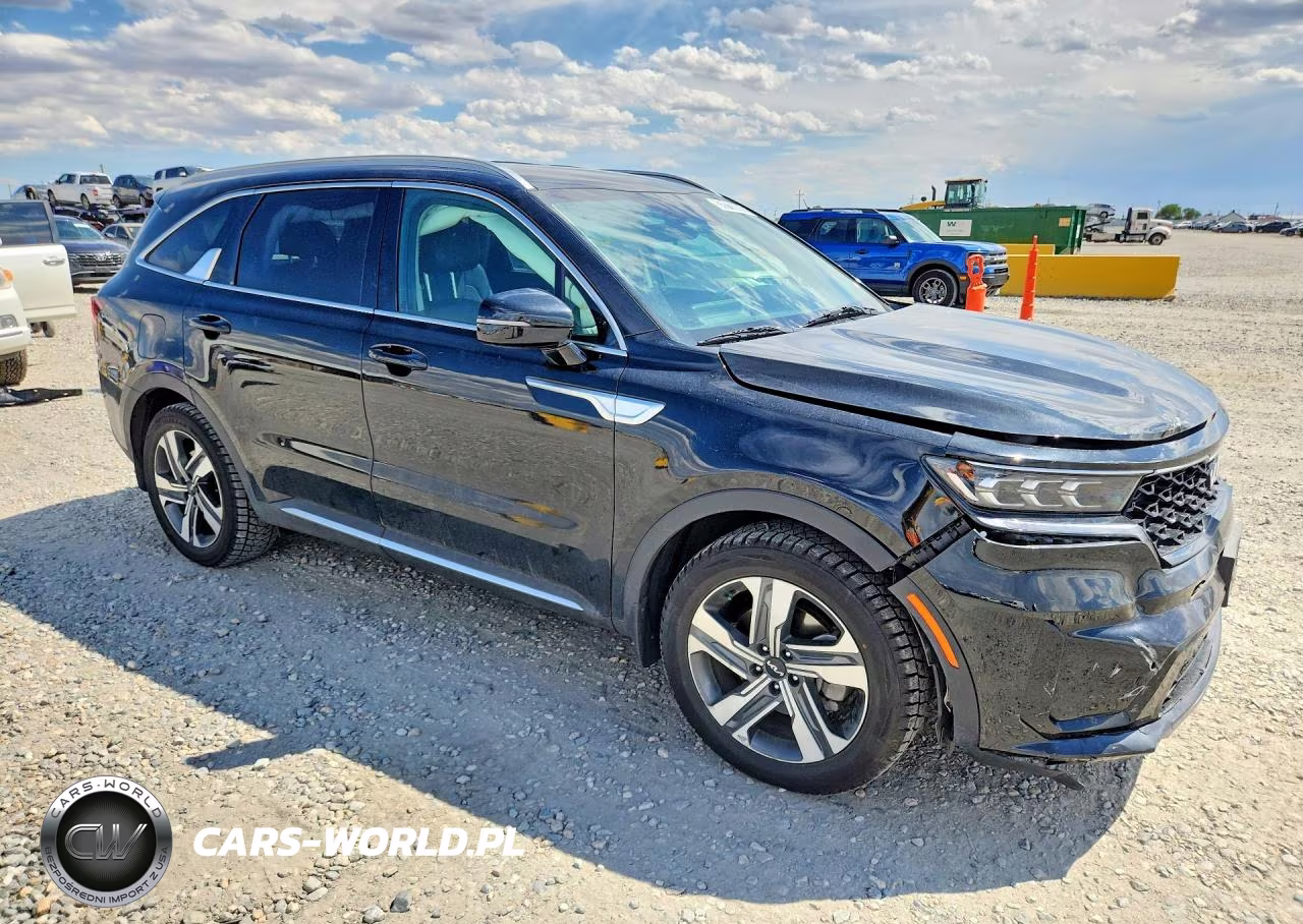 2022 Kia Sorento Sx VIN:KNDRJDLH8N5083670 - 4