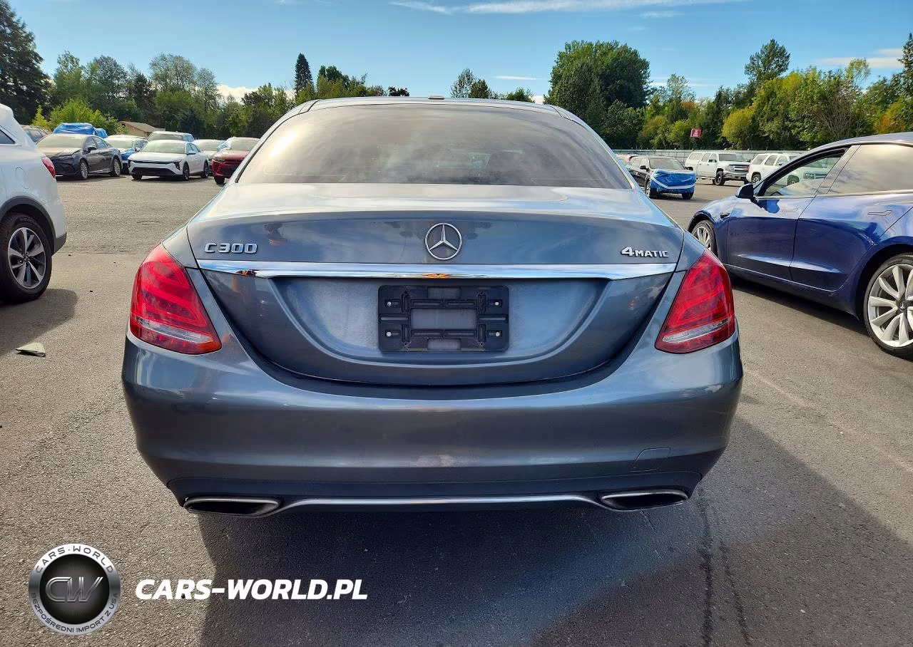 2017 Mercedes-Benz C 300 4Matic VIN:55SWF4KB2HU220217 - 6